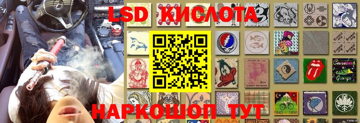 A PVP Ирбит