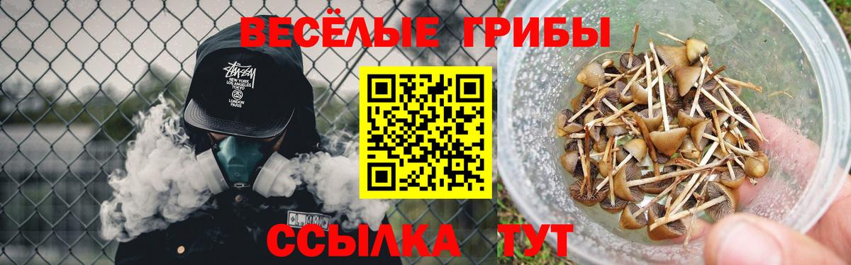 Галлюциногенные грибы ЛСД  где можно купить   Ирбит  Вход с VPN 